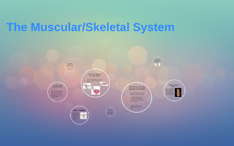 Functions of the Muscular System by Kara Spencer on Prezi