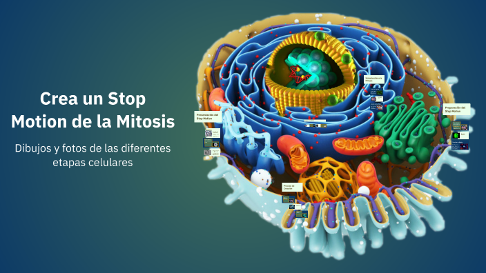 Crea un Stop Motion de la Mitosis by Carlos Gómez Lobo on Prezi