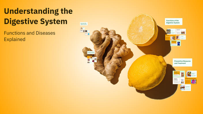 Understanding the Digestive System by jaylen stewart on Prezi