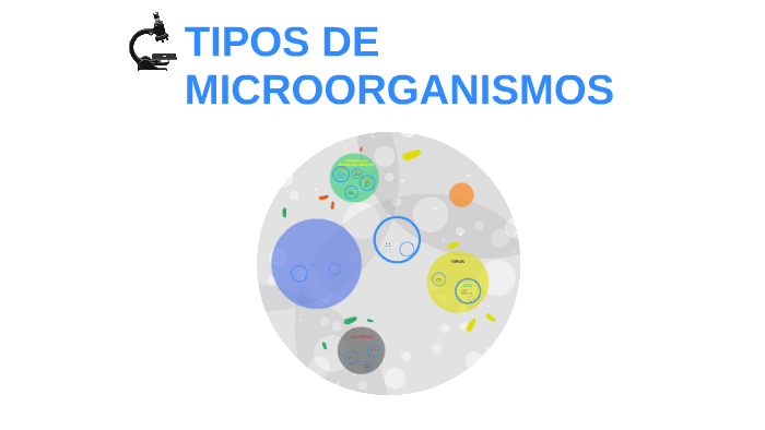 Cuáles Son Los Diferentes Tipos De Microorganismos prezi.com