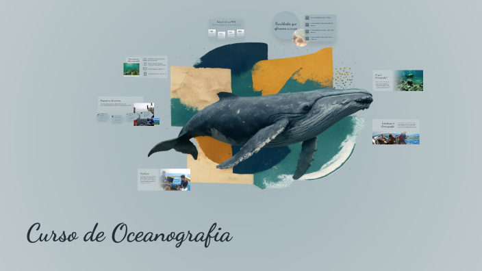 Curso de Oceanografia: Faculdades, Nota de Corte e Curiosidades by ...