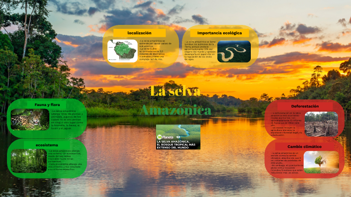 La selva Amazónica by louis ivens on Prezi