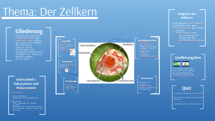 Unterschiede zwischen eukaryontischen und prokaryontischen Zellen