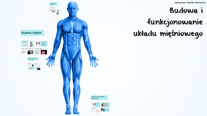Budowa i funkcjonowanie układu mięśniowego by Dominika Dawidowska on Prezi