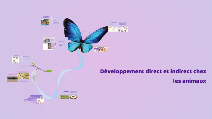 Développement direct et indirect chez les animaux by aya daagi on Prezi