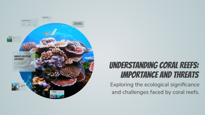 Understanding Coral Reefs: Importance and Threats by Daylen Kittrell on ...