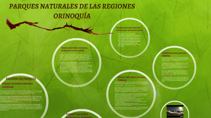 PARQUES NATURALES DE LAS REGIONES ORINOQUÍA Y PACÍFICO by Andrea Rippe ...