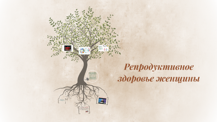 Репродуктивное здоровье женщины by Екатерина Логинс onPrezi