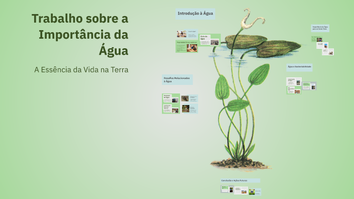 Trabalho sobre a Importância da Água by Inês Machado on Prezi