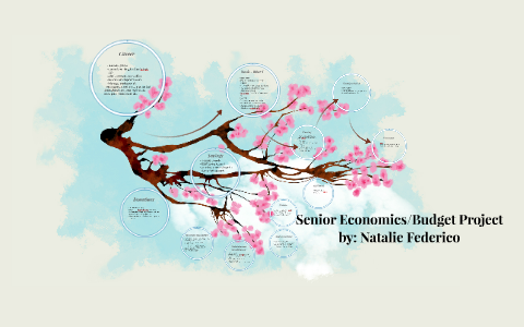 Senior Economics/Budget Project by Natalie Federico on Prezi