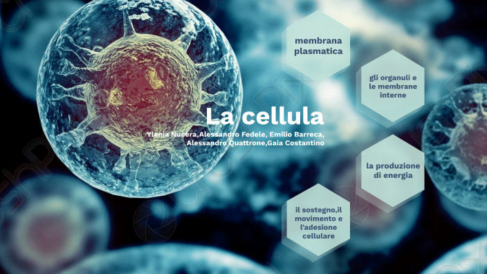 la cellula by gaia costantino on Prezi