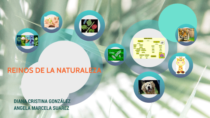 REINOS DE LA NATURALEZA by Diana Gonzalez on Prezi