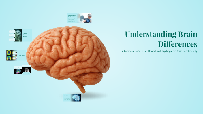 Understanding Brain Differences by Houda Tounti on Prezi