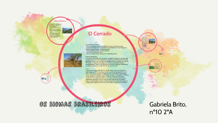 Os Biomas Brasileiros by Gabriela Brito on Prezi