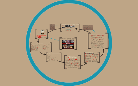 A Thousand Splendid Suns by Nicolene Greeff on Prezi