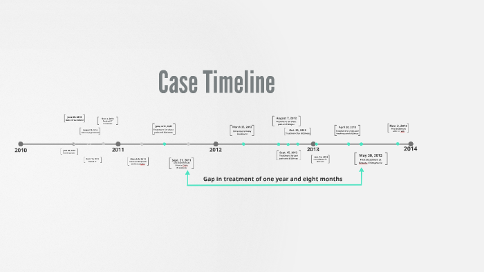 Case Timeline by S&L Norman on Prezi