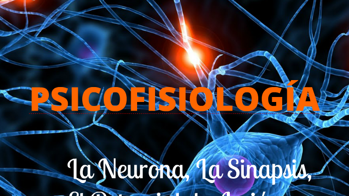 Psicofisiología. Neurona, Sinapsis, Potencial de Acción y ...