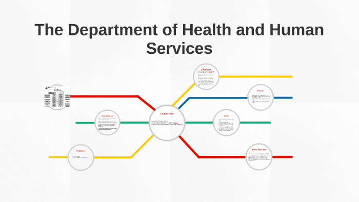 the-department-of-health-and-human-services-by-aida-mitchell