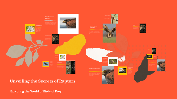 Meet the Majestic Raptor Regal: Unveiling the Secrets of the King of Raptors