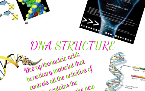 DNA STRUCTURE by Victoria Padal on Prezi