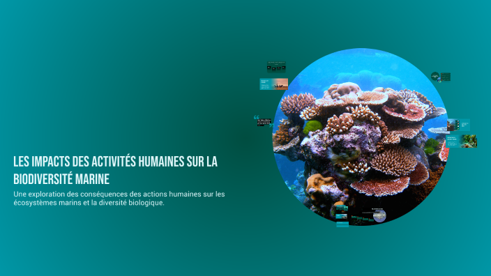 Les impacts des Activités humaines sur la Biodiversité marine by Ikram ...