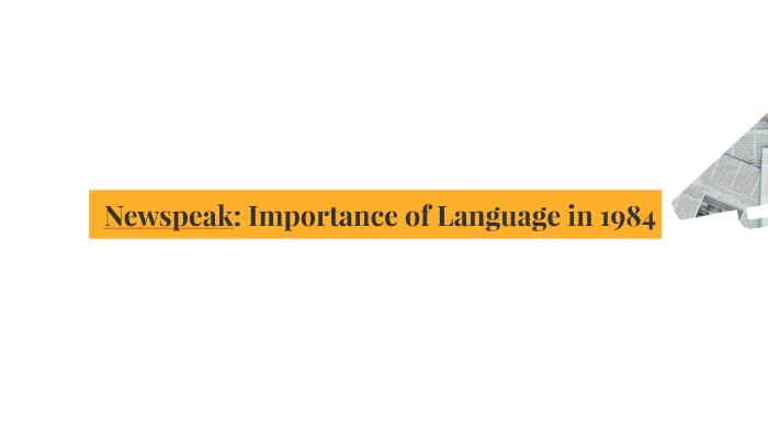 Importance Of Language In 1984