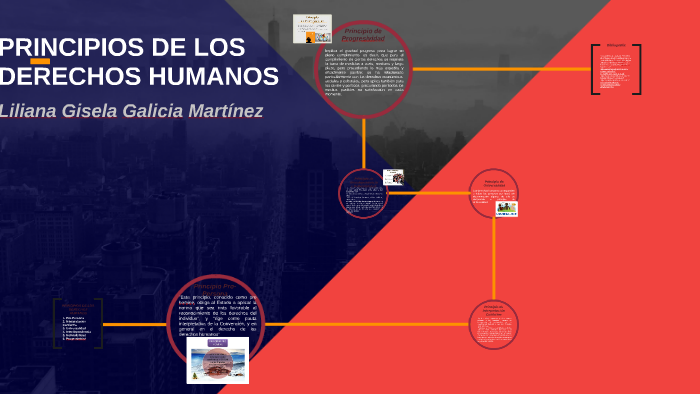 PRINCIPIOS DE LOS DERECHOS HUMANOS by liliana Galicia Martinez on Prezi