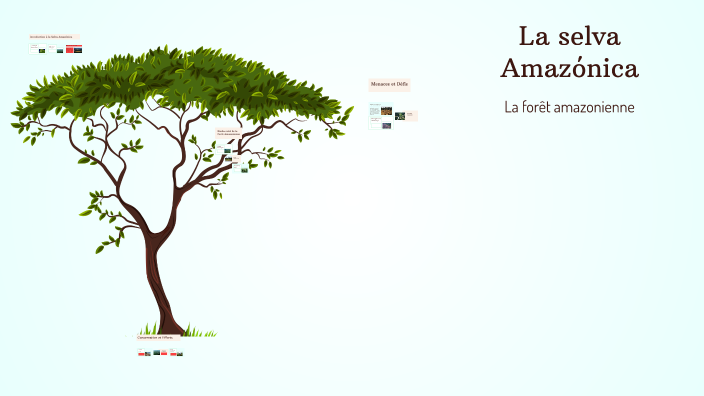La selva Amazónica by louis ivens on Prezi