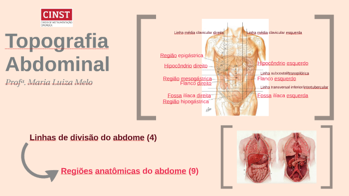 Topografia Abdominal by Maria Luiza Melo on Prezi