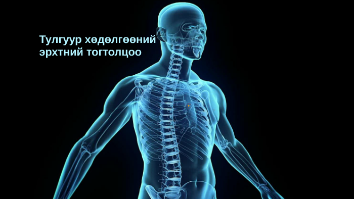 Тулгуур хөдөлгөөний эрхтэн тогтолцоо by Ardah Aruka on Prezi