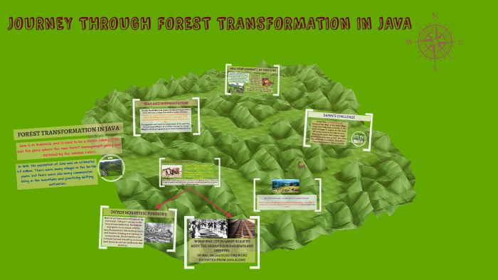 FOREST TRANSFORMATION IN JAVA by rezi rezi on Prezi