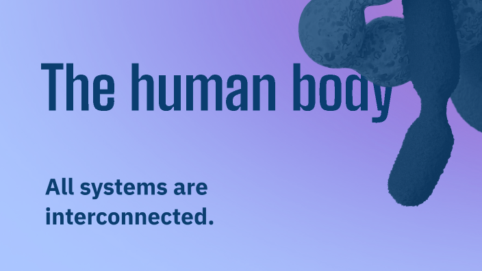 The human body by Emily Hernanadez reyes on Prezi