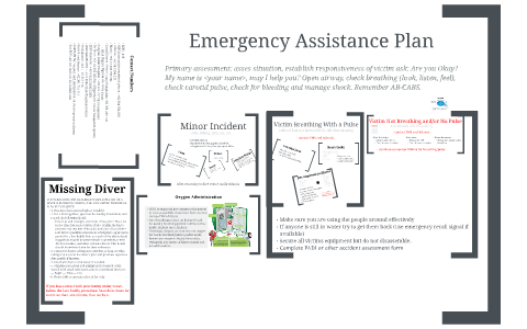 Padi Emergency Action Plan Flow Chart
