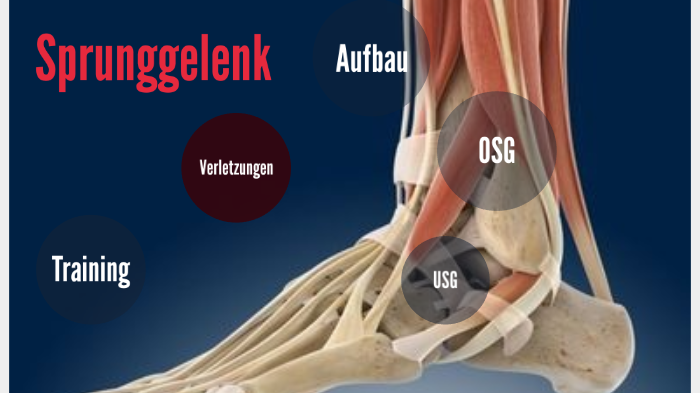 Sprunggelenk by Ole Lohmann on Prezi