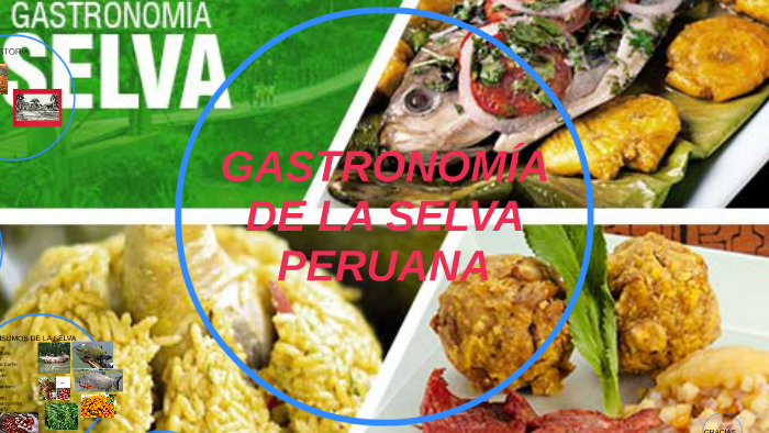 Supervivencia En La Selva Atrapa Y Cocina Mantarraya