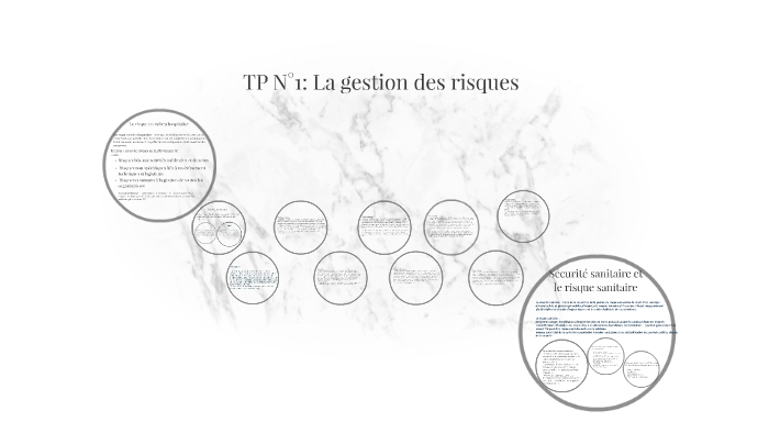 TP N°2: La gestion des risques by myriam IFSI on Prezi