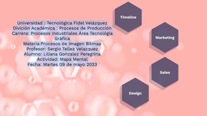 Mapa Mental by Liliana Gonzalez Peregrina on Prezi