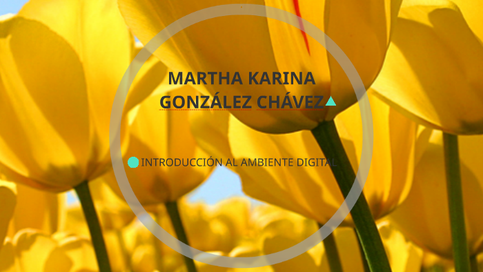 MARTHA KARINA GONZÁLEZ CHÁVEZ by MARTHA KARINA GLEZ CH