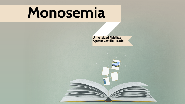 Monosemia By Agustin Castillo On Prezi