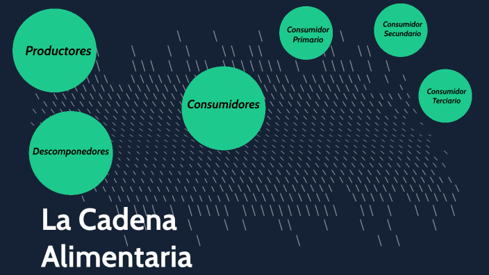 Mapa Mental by Paola Castillo on Prezi