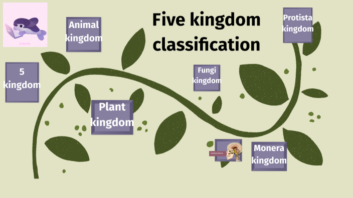 the separation of living beings into five kingdoms is based on