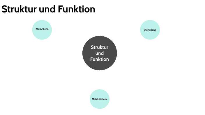 Basiskonzept Struktur Und Funktion Basiskonzept Struktur und Funktion by Jakob Van Spronsen on Prezi