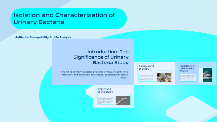 Isolation and Characterization of Urinary Bacteria by chanda rani on Prezi
