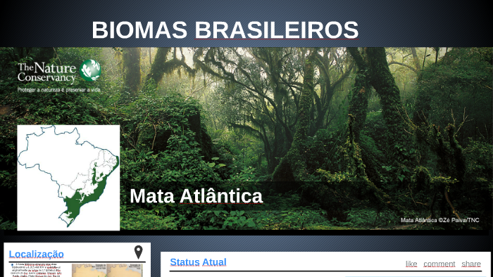 BIOMAS BRASILEIROS by Sabine Demétrio on Prezi