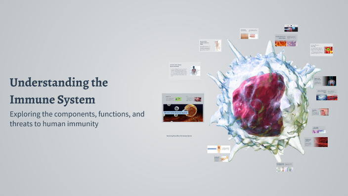Understanding the Immune System by Emily Li on Prezi