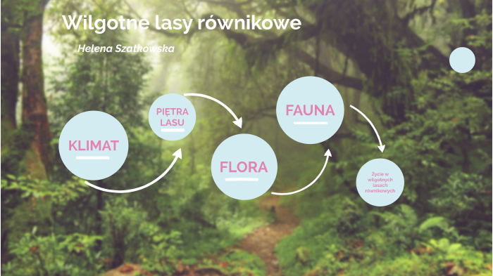 Wilgotne Lasy Równikowe Zwierzęta Wilgotne lasy równikowe by Merscy Feather on Prezi