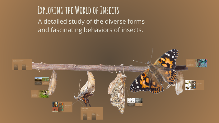 Exploring the World of Insects by Adela Lazuran on Prezi