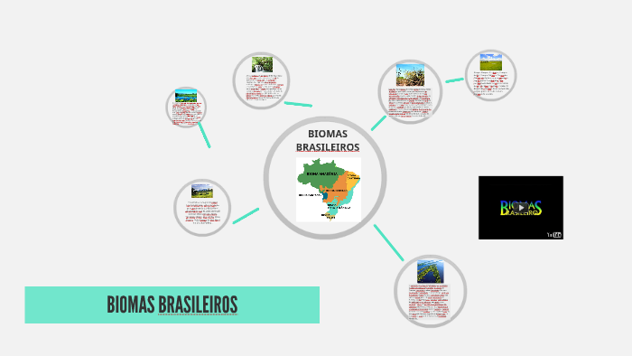 BIOMAS BRASILEIROS by Luciana Moitinho on Prezi