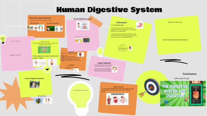The Digestive system by Aya Gnena on Prezi