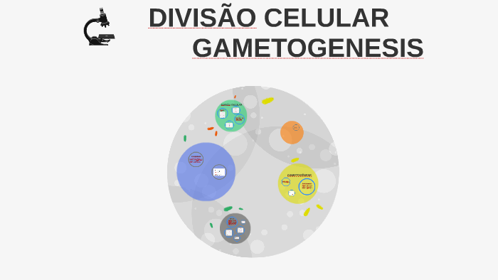 Mitose e meiose: Os dois processos de divisão celular - UOL Educação